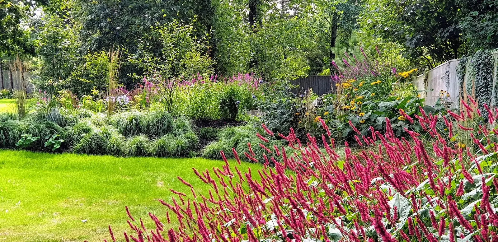 Colourful planted border in a completed garden