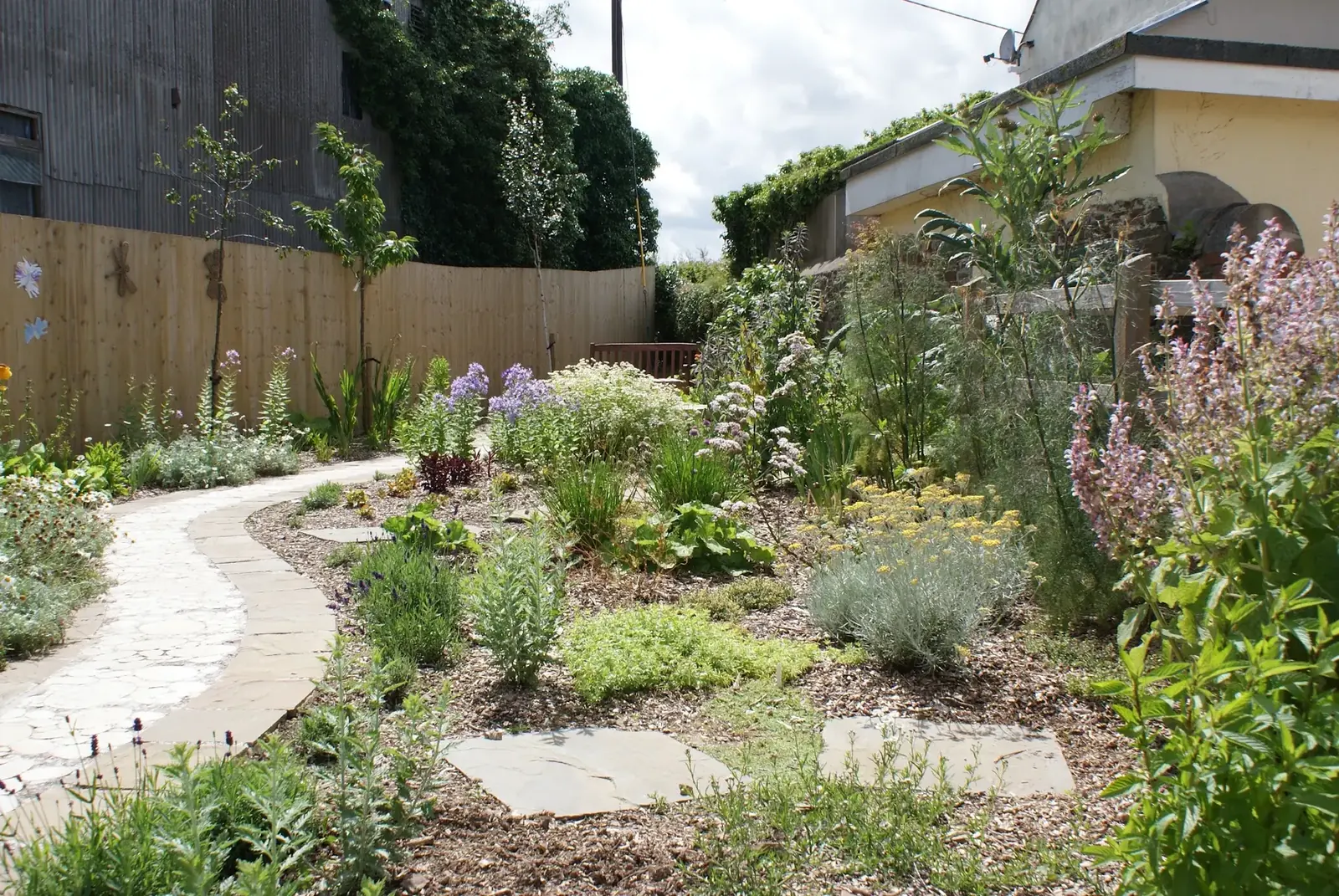Garden path surrounded by abundant mature planting