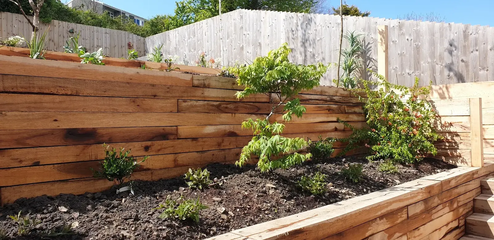 New timber raised beds in a landscaped garden